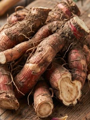 PEONY ROOT EXTRACT