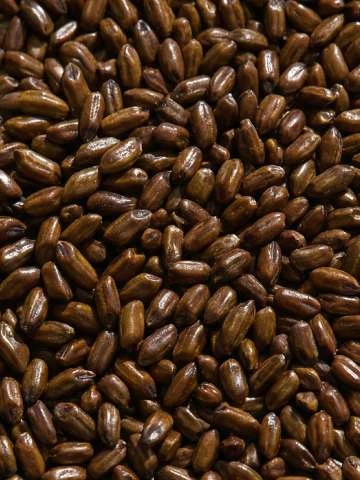 CASSIA ANGUSTIFOLIA SEED POLYSACCHARIDE